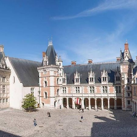 Gite Troglodyte Les Iris Villiers-sur-Loir Exteriér fotografie