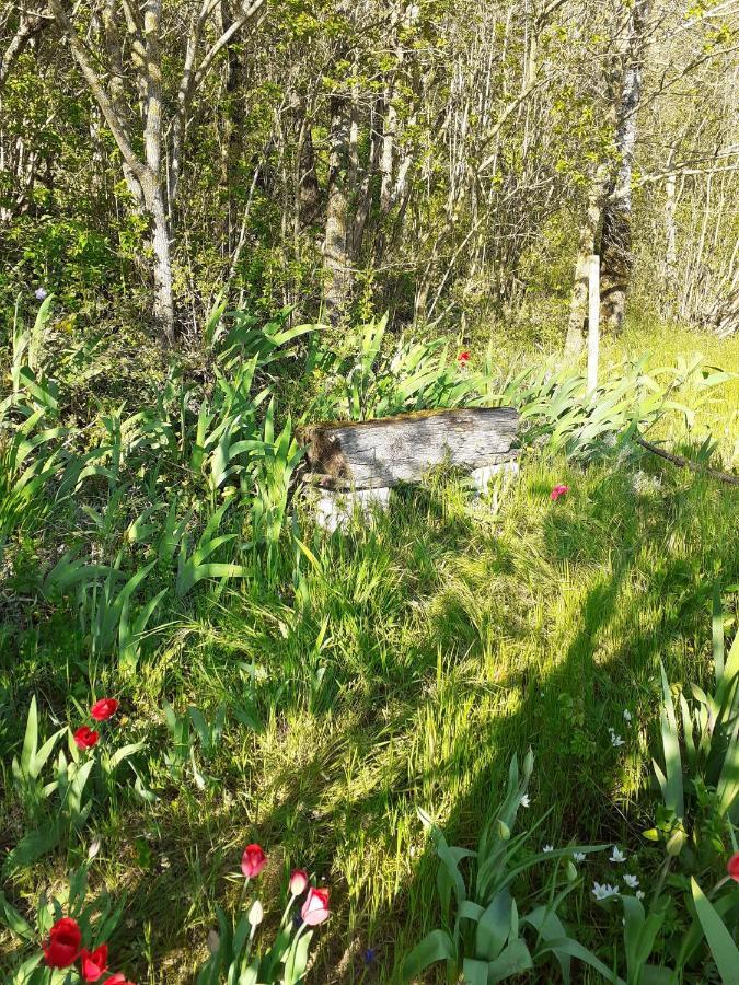 Gite Troglodyte Les Iris Villiers-sur-Loir Exteriér fotografie